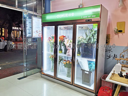 鮮花保鮮冷柜價格.jpg 鮮花保鮮冷柜價格.jpg