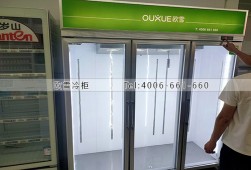 冷藏柜-福建廈門便利店三門展示柜選購