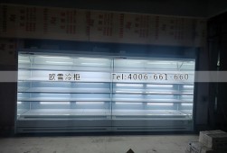 風幕柜-浙江杭州生活超市冷柜選購